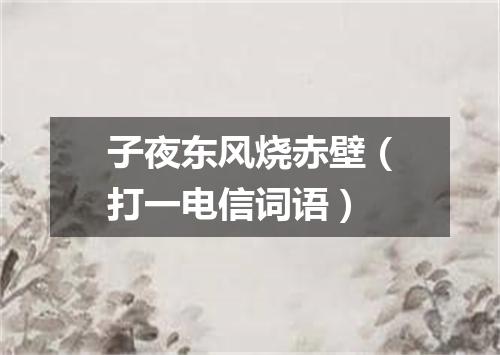 子夜东风烧赤壁（打一电信词语）
