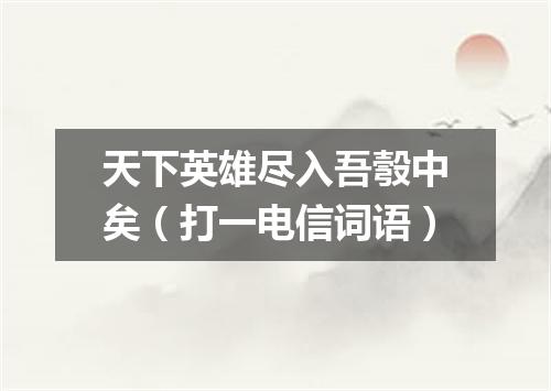 天下英雄尽入吾彀中矣（打一电信词语）