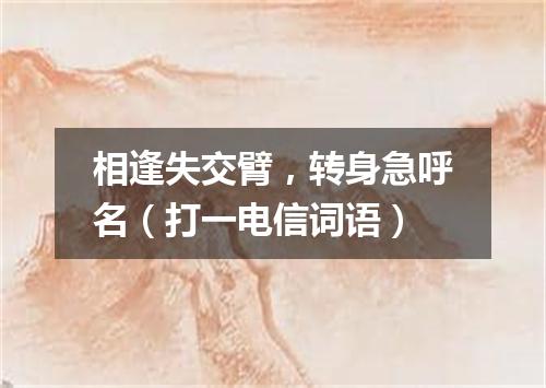 相逢失交臂，转身急呼名（打一电信词语）