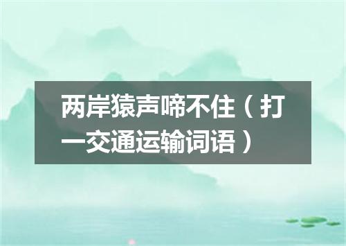 两岸猿声啼不住（打一交通运输词语）