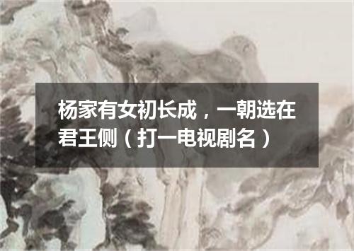 杨家有女初长成，一朝选在君王侧（打一电视剧名）