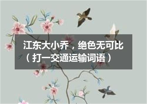 江东大小乔，绝色无可比（打一交通运输词语）