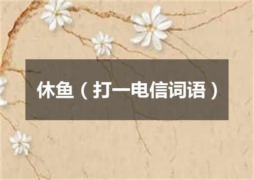 休鱼（打一电信词语）