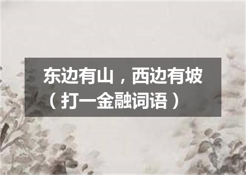 东边有山，西边有坡（打一金融词语）