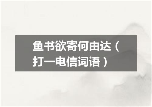 鱼书欲寄何由达（打一电信词语）