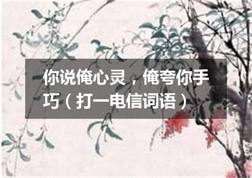 你说俺心灵，俺夸你手巧（打一电信词语）