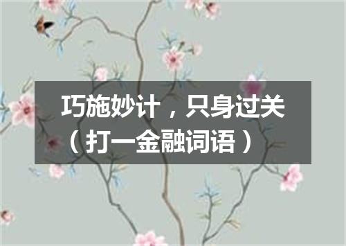 巧施妙计，只身过关（打一金融词语）