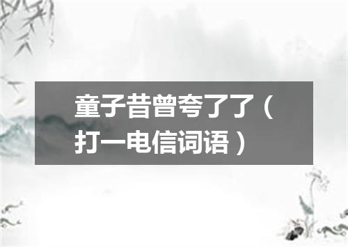 童子昔曾夸了了（打一电信词语）