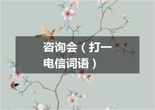 咨询会（打一电信词语）