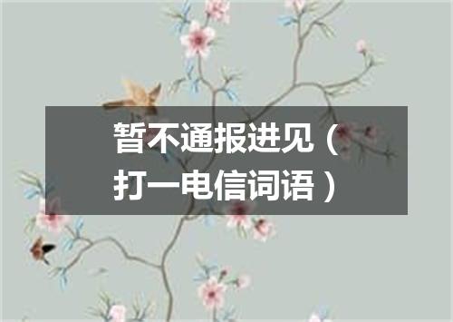 暂不通报进见（打一电信词语）