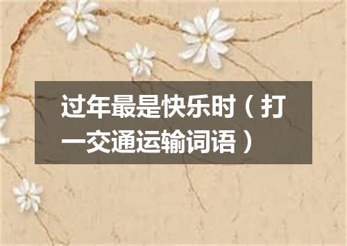 过年最是快乐时（打一交通运输词语）