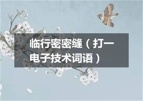 临行密密缝（打一电子技术词语）