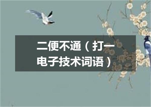 二便不通（打一电子技术词语）