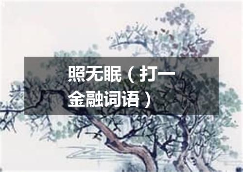 照无眠（打一金融词语）