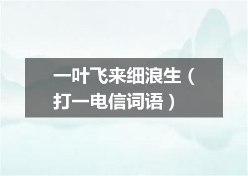 一叶飞来细浪生（打一电信词语）