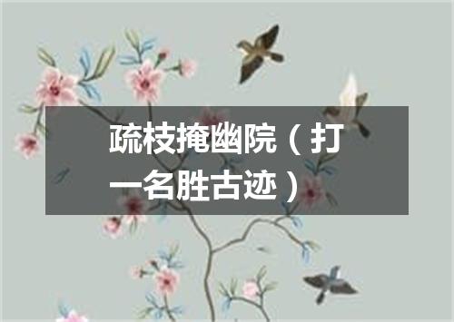 疏枝掩幽院（打一名胜古迹）