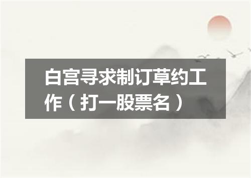 白宫寻求制订草约工作（打一股票名）