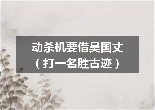 动杀机要借吴国丈（打一名胜古迹）