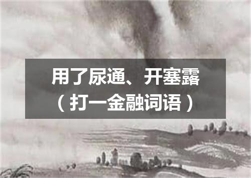 用了尿通、开塞露（打一金融词语）