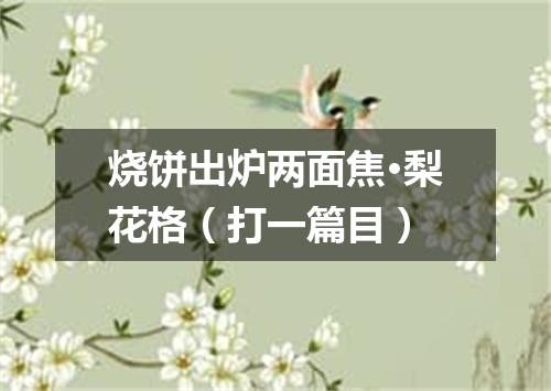 烧饼出炉两面焦·梨花格（打一篇目）