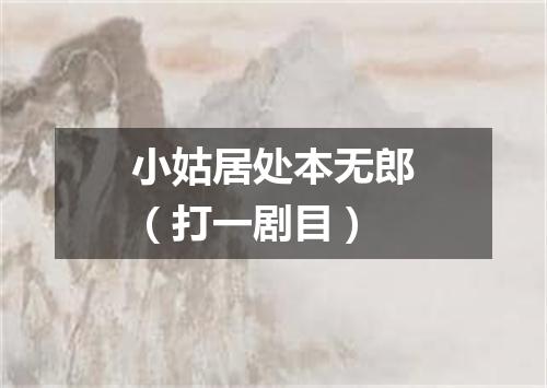 小姑居处本无郎（打一剧目）