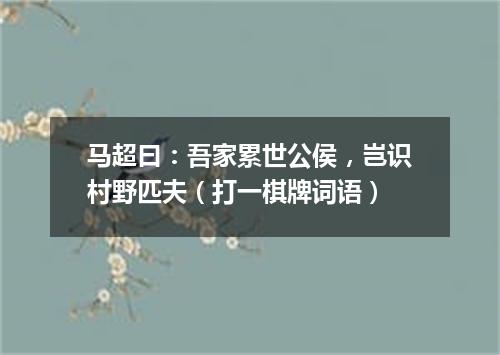 马超曰：吾家累世公侯，岂识村野匹夫（打一棋牌词语）