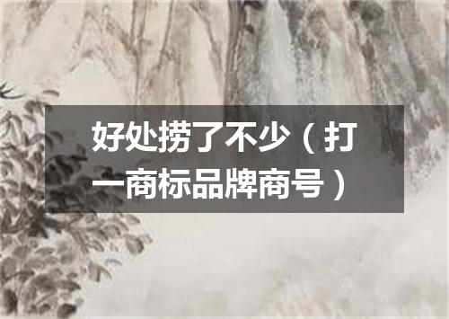 好处捞了不少（打一商标品牌商号）