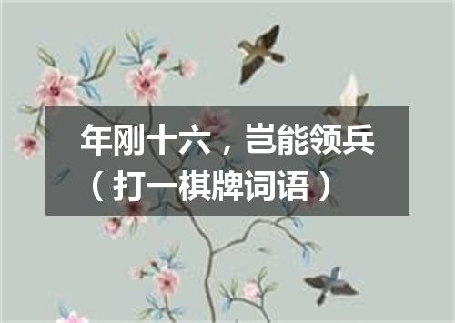 年刚十六，岂能领兵（打一棋牌词语）