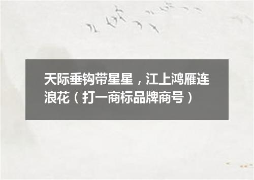 天际垂钩带星星，江上鸿雁连浪花（打一商标品牌商号）