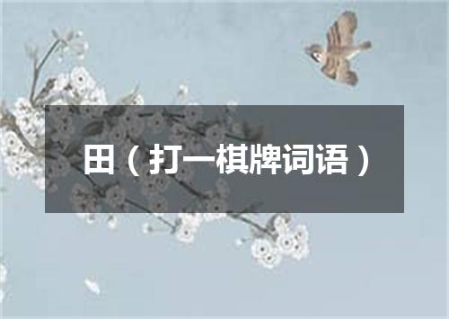 田（打一棋牌词语）