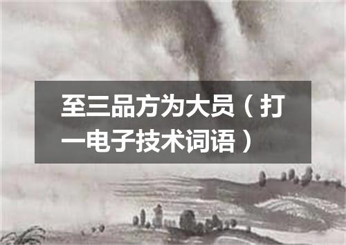 至三品方为大员（打一电子技术词语）