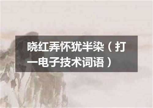 晓红弄怀犹半染（打一电子技术词语）
