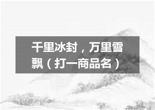 千里冰封，万里雪飘（打一商品名）