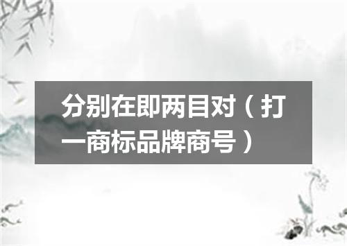 分别在即两目对（打一商标品牌商号）
