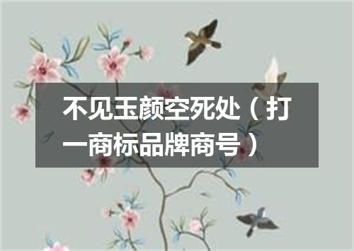 不见玉颜空死处（打一商标品牌商号）