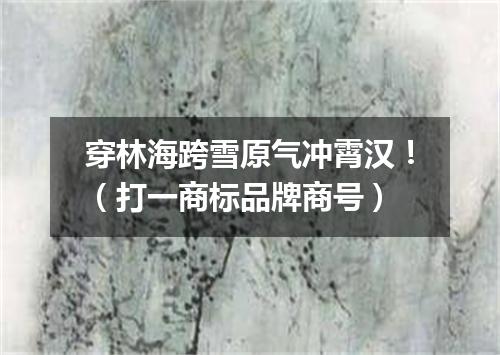 穿林海跨雪原气冲霄汉！（打一商标品牌商号）