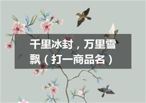 千里冰封，万里雪飘（打一商品名）