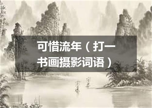 可惜流年（打一书画摄影词语）