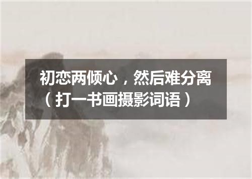 初恋两倾心，然后难分离（打一书画摄影词语）