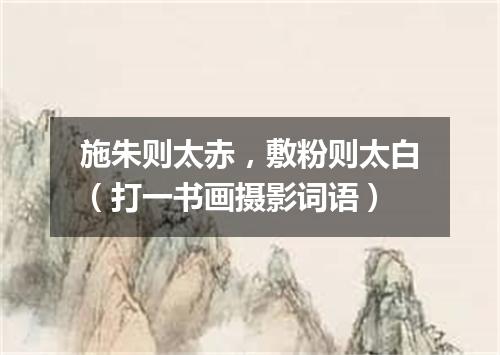 施朱则太赤，敷粉则太白（打一书画摄影词语）