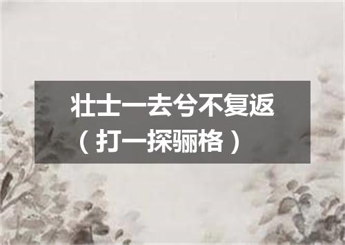壮士一去兮不复返（打一探骊格）