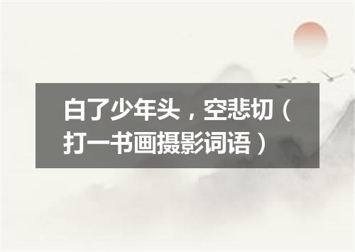 白了少年头，空悲切（打一书画摄影词语）