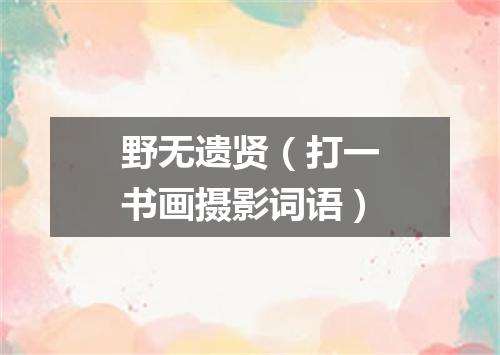 野无遗贤（打一书画摄影词语）