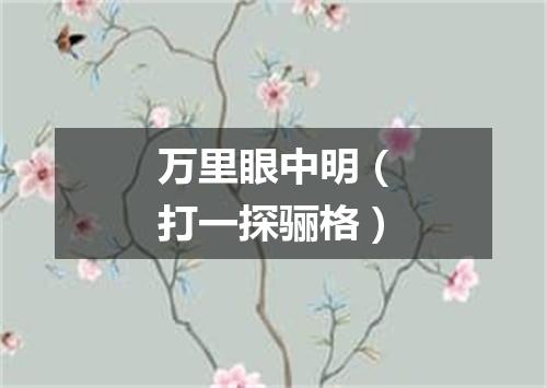 万里眼中明（打一探骊格）