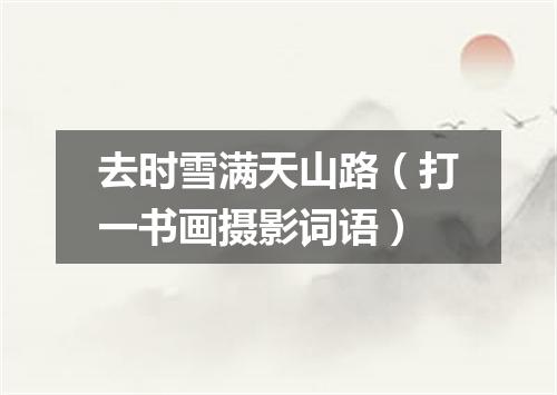 去时雪满天山路（打一书画摄影词语）