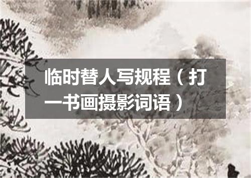 临时替人写规程（打一书画摄影词语）