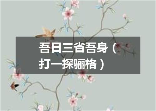 吾日三省吾身（打一探骊格）