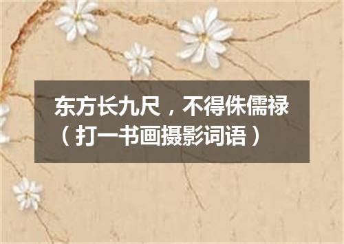 东方长九尺，不得侏儒禄（打一书画摄影词语）