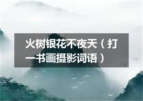 火树银花不夜天（打一书画摄影词语）
