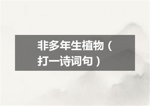 非多年生植物（打一诗词句）